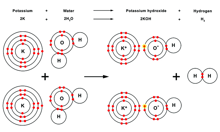 Diagram showing what happens to potassium molecules when introduced to water